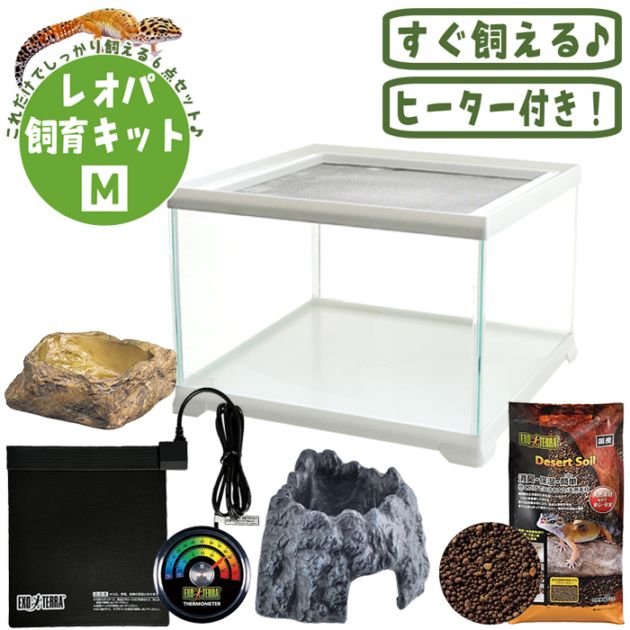 �쥪�ѻ��饭�å�M/������ ������ ���饹������ ���饻�å� �������������å� ����� �ҥ祦��� GEX