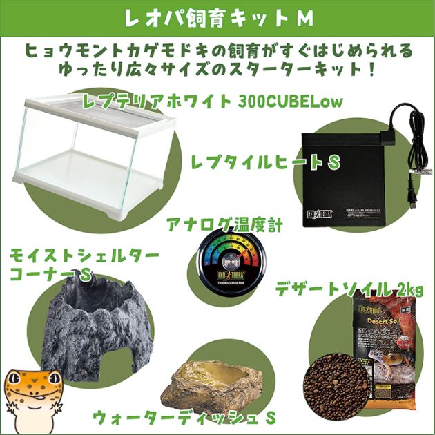 かず　爬虫類飼育用品セット Amazon | GEX EXOTERRA レプテリア レオパ飼育キットM 爬虫類用ガラス