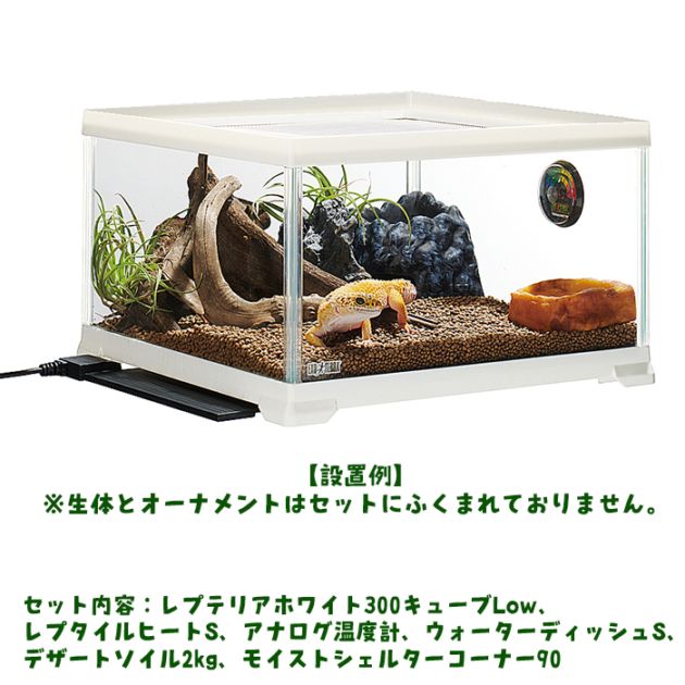 レオパ飼育キットM/ケージ ゲージ ガラスケース 飼育セット スターター