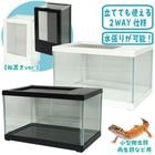 ��ץƥꥢ�ĥ���ӥ塼 300/������ ������ ���饹������ ����� ξ���� ���� ������ GEX