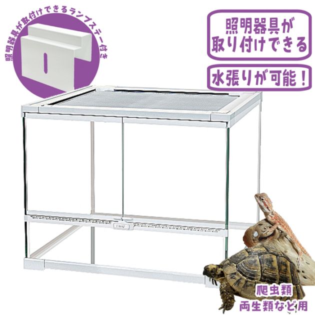 �������ڡ��� 45/REPSi ������ ������ ���饹������ ����� ���� �ޥ륫�� MARUKAN