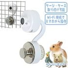 �ڿ��̸����ò��������桪�۾�ưʪ����Ļ�������� ������ѥ����/�¿� ��꥿�˥� �ڥåȥ���� �ޥ륫�� MARUKAN