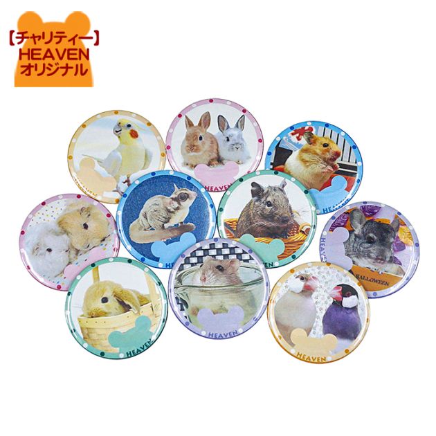 �ڥ����ƥ�����HEAVEN ��ưʪ����Ļ�̥Хå���2��/�Хå� �Хå�