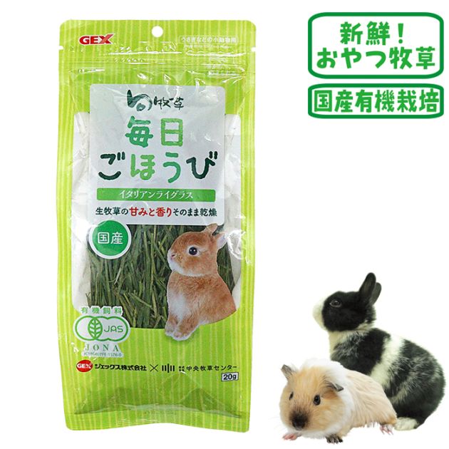 ������ �������ۤ��ӥ����ꥢ��饤���饹/����� �� ͭ������ ������ ������� ����å� �ǥ��� GEX