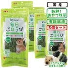 ������ �������ۤ��ӥ����ꥢ��饤���饹��5�ĥ��åȡ�1�Ĥ�����498�ߡ�/����� �� ͭ������ ������ ������� ����å� �ǥ��� GEX