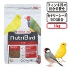 �˥塼�ȥ�С��� C15 ���ʥꥢ���ե���� 1kg/�ա��� ���� �ڥ�å� ʸĻ VERSELE-LAGA