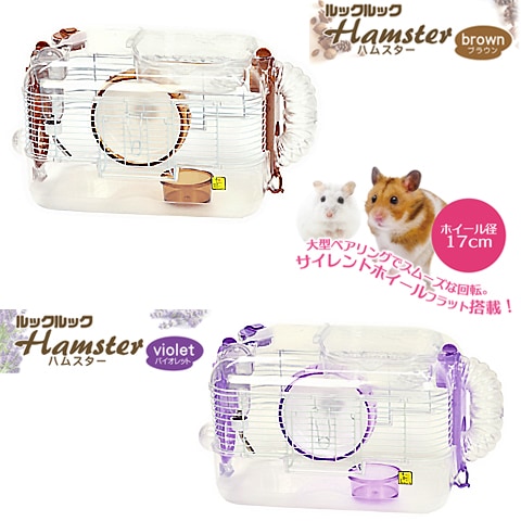 ��å���å� �ϥॹ����/���饻�å� ������ ����󥬥ꥢ�� �ɥ�� ���󥳡�