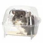 ץ쥤Х/   ץ饹å  Ʃ ưʪ  ץ졼꡼ ǥ SANKO 