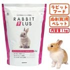 ��ӥåȥץ饹 �������åȥ��ƥʥ�1kg/��ӥåȥա��� ���� ���� �� �ڥ�å� �翩 ���⥷�� �㥫���꡼ �Хˡ� ������ �������� SANKO