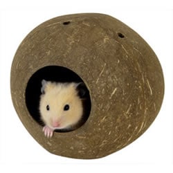 ココハウス/お家 寝床 隠れ家 ヤシの実 固定 天然素材 ハムスター