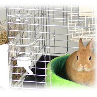 マルチボトル500/吸水器 給水器 ウォーターボトル 水飲みボトル