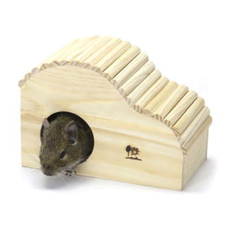 �������֥ϥ�����͡�/���� ���� �����ϥ��� ������ǥ�ϥॹ���� ���ޥꥹ �ǥ��� �������� SANKO