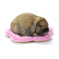 うさぎさん用⭐︎長方形クッション　マット　ベッドおもちゃのお花型クッション　など うさぎのしっぽ通販は、『ベッドにもなるクッションマット』を