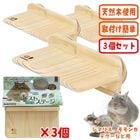 ե쥹ȥơ 磻S3ĥåȡ/    쥤  ưʪ ޥꥹ  ǥ SANKO 