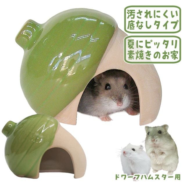素焼きハウス（どんぐり）/お家 隠れ家 寝床 陶器 ハムスター