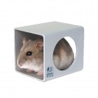 Ҥô塼/ Ҥ  ϥ  CUBE  ֥ϥ ϥॹ SANKO 