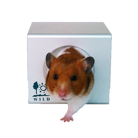 �Ҥ����ô����塼�֡���/�� �Ҥ��� ������ �ϥ��� ����� CUBE ���� �������֥ϥ��� �ϥॹ���� SANKO ��������