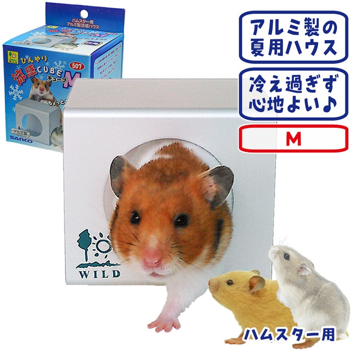 ��29��ǯ��������ۤҤ����ô����塼�� ��/�� �Ҥ��� ������ �ϥ��� ����� CUBE ���� �������֥ϥ��� �ϥॹ���� SANKO ��������