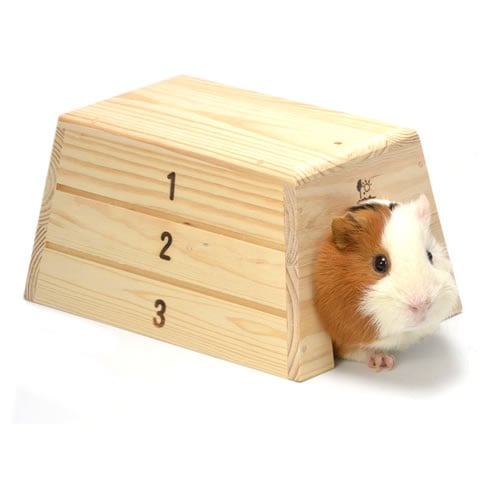 �ȤӤФ��ϥ���/���� ���� ����� ���� ķ��Ȣ ����å� �ϥ�ͥ��� ������� �ǥ��� SANKO ��������