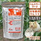 �ϥॹ�������쥯�����/�翩 �ա��� ���� ���� �� �ڥ�å� ������ ����ߥѥå� ����󥬥ꥢ�� ������ǥ� �ϥॻ�� ����������