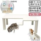 �ϥ���եȣ���/������ ������ ���� ͷ�Ӿ� ��2�� ������ǥ� ����󥬥ꥢ�� �ϥॹ����