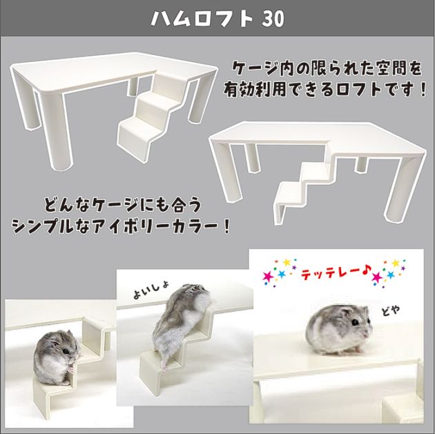 ハムロフト30/ケージ ゲージ 水槽 遊び場 中2階 ゴールデン