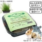 �٥ӡ����⥷���ե�����/����� �� ���� ���� ���� ������ ��Ƥ� ���ݥ��å� ������ ������� ����å� �ǥ��� �ץ졼�꡼