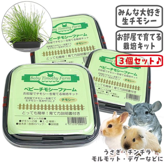 ��28��ǯ��������ۥ٥ӡ����⥷���ե������3�ĥ��åȡ�1�Ĥ�����495�ߡ�/����� �� ���� ���� ���� ������ ��Ƥ� ���ݥ��å� ������ ������� ����å� �ǥ��� �ץ졼�꡼