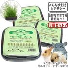 ��28��ǯ��������ۥ٥ӡ����⥷���ե������3�ĥ��åȡ�1�Ĥ�����495�ߡ�/����� �� ���� ���� ���� ������ ��Ƥ� ���ݥ��å� ������ ������� ����å� �ǥ��� �ץ졼�꡼