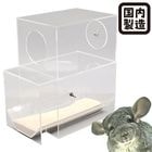 28ǯ桦20OFFۥƥХ/  ƴ Ʃ    ǥ