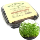 ٥ӡСե/      Ƥ ݥå   å ǥ ץ졼꡼