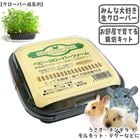 �٥ӡ��������С��ե�����/����� �� ���� ���� ���� �� ��Ƥ� ���ݥ��å� ������ ������� ����å� �ǥ��� �ץ졼�꡼