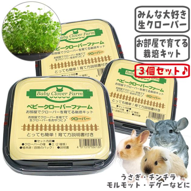 ��28��ǯ��������ۥ٥ӡ��������С��ե������3�ĥ��åȡ�1�Ĥ�����495�ߡ�/����� �� ���� ���� ���� �� ��Ƥ� ���ݥ��å� ������ ������� ����å� �ǥ��� �ץ졼�꡼