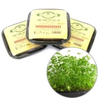 28ǯۥ٥ӡСե3ĥåȡ1Ĥ495ߡ/      Ƥ ݥå   å ǥ ץ졼꡼