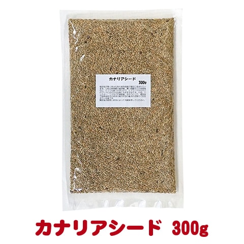 カナリアページ 51B8cpZRrFL._AC_SY200_QL15_.jpg