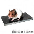 �ڥ����ȥ�å� ������������ۥ��ȡ���٥å� ������ǥ�/ŷ���� ����� �Ҥ��� ������ �� �ô� �䤨�� �ä��� �Ҥ���ޥå� �Ҥ���٥å� ������ǥ�ϥॹ���� �ꥹ ���� ���㡼�ӥ�