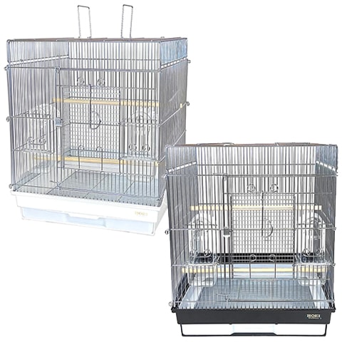 465���󥳼�Τ�G/Ļ���� Ļ�� �С��ɥ����� Ļ���� ��Ļ ������������ �����ᥤ�� ������ ������ �ۥ磻�� �֥�å�