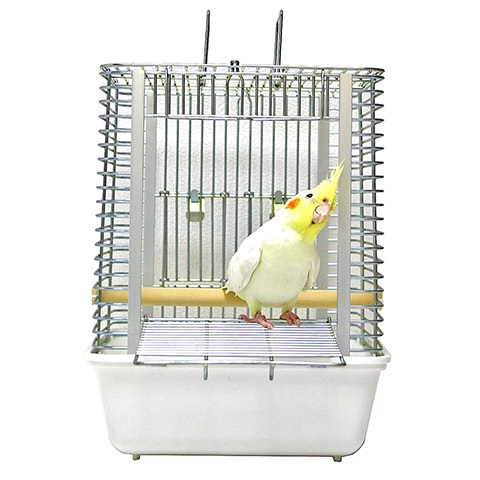 �ϡ��ȥե륭��꡼/���Ǥ��� ���Ф��� ��ư ���� �ɺ� �̱� �±� ��Ļ ���� HOEI