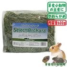 쥯ȥ㡼 600g/ ߥ ORIMITSU ߺ   ǥ å 