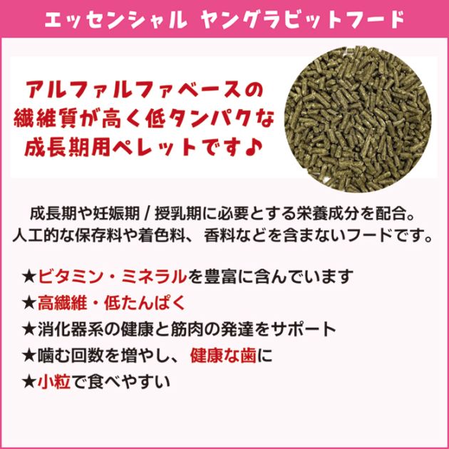 オックスボー エッセンシャル ヤングラビットフード2.25kg/主食 エサ