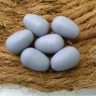 ʥ˥ʥѡ6/˿    ʥꥢ Х䥷