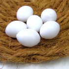 ʥ˥ѡ6/˿    ᥤ Х䥷