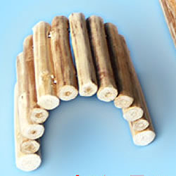 �ڥåȥʥ�����С�S/����� �ϥ��� �ȥ�ͥ� �ϥ��� ŷ���� �ϥॹ���� ������ǥ� ����󥬥ꥢ�� ������ PET WONDERLAND