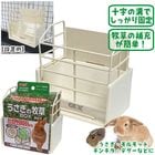 ������������£ϣظ��꼰/���� �������� �������� ������ ����å� ������� �ǥ��� �ץ졼�꡼ GEX