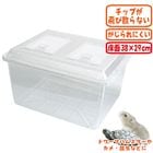 ���饱����(����) ��43cm/�ץ饱���� �ϥ��� ������ Ʃ�� ���ꥢ �礭�� ��ưʪ �ϥॹ���� ����󥬥ꥢ�� ���� ����