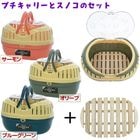 ץ꡼ڥꥸʥΤդ/ϡɥ꡼ Ǥ Хå  ɺ ̱ ± Υ  å եå  ꡼ å ֥롼