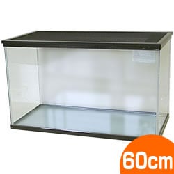 60�����������å���ե��դ���ڰ��٤Τ���ʸ��1�Ĥޤǡ�/������ ������ �ϥ��� ���� ���� ���饹������ ��ưʪ �ϥॹ���� �� ���� ����