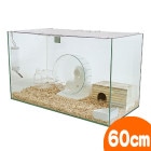 600�ϥॹ����HIGH ������ǥ�ϥॹ�������饻�å�II��A�����ܥȥ�ۡڰ��٤Τ���ʸ��1�Ĥޤǡ�/������ ������ ���饱���� ���󥯥�