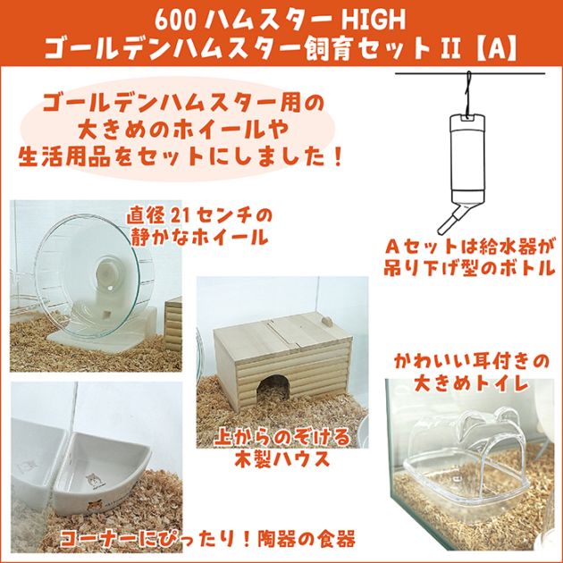 ハムスターケージ＋飼育必需品セット 29周年セール中】ジャンガリアンハムスター飼育セット【ゆったり】【冬