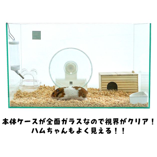 ハムスター飼育セット　専用出品 楽天市場】600ハムスターHIGH ゴールデンハムスター飼育セットII【B